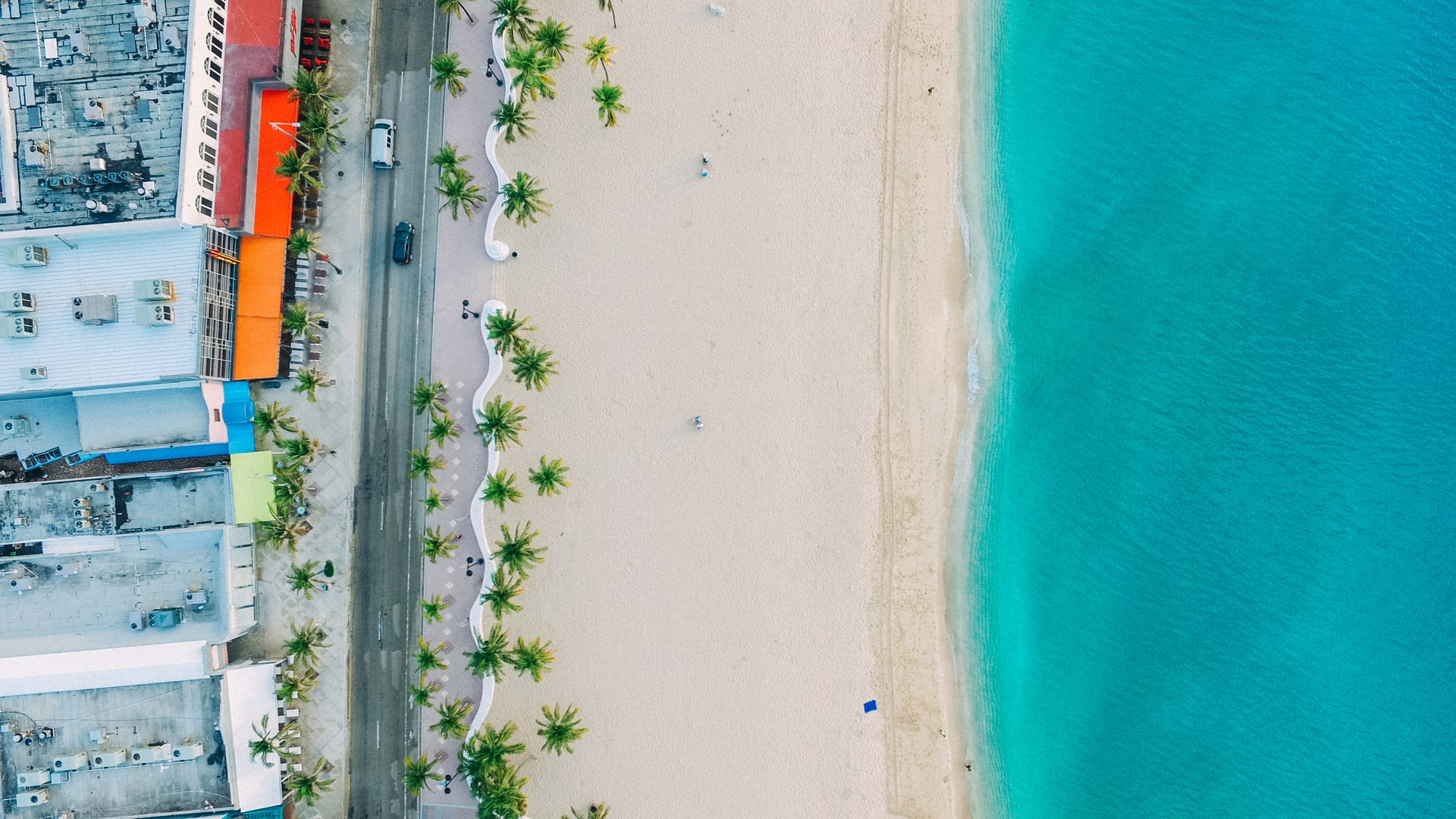 Image description: Aerial view of a white-sand beach lined with palm trees, with the ocean on one side and ocean-front shops on the other. End of alt text.